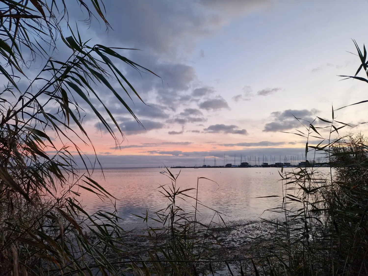 Divine Magic – See