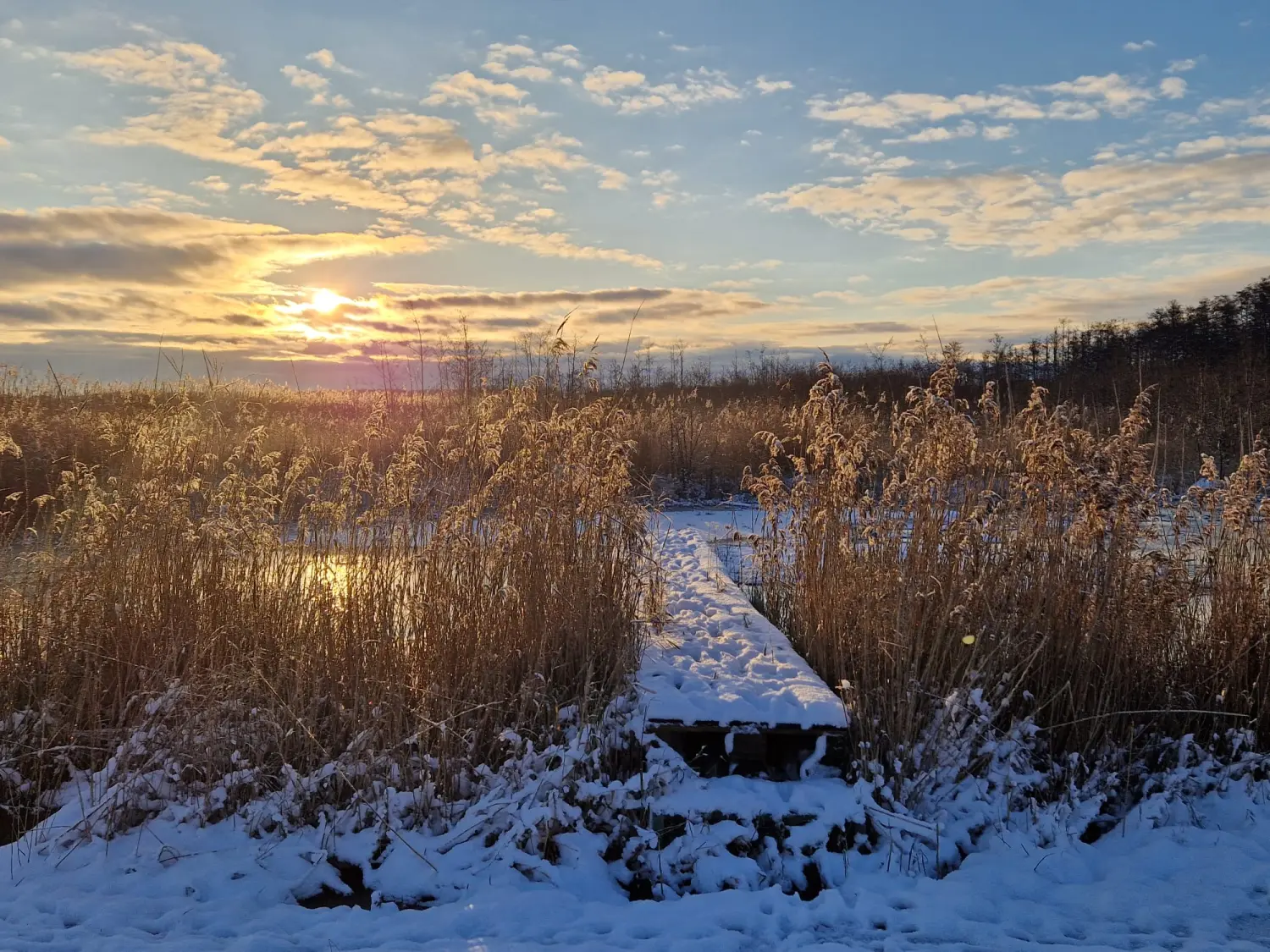 Divine Magic – Schnee im Winter
