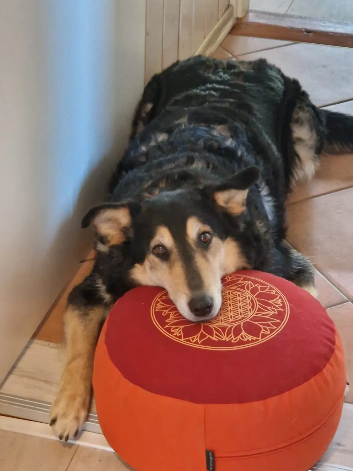 Divine Magic - Kerze